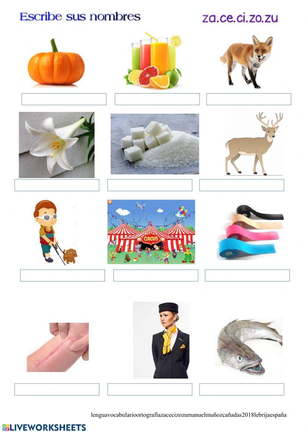 Escribir palabras que contienen za ce ci zo zu