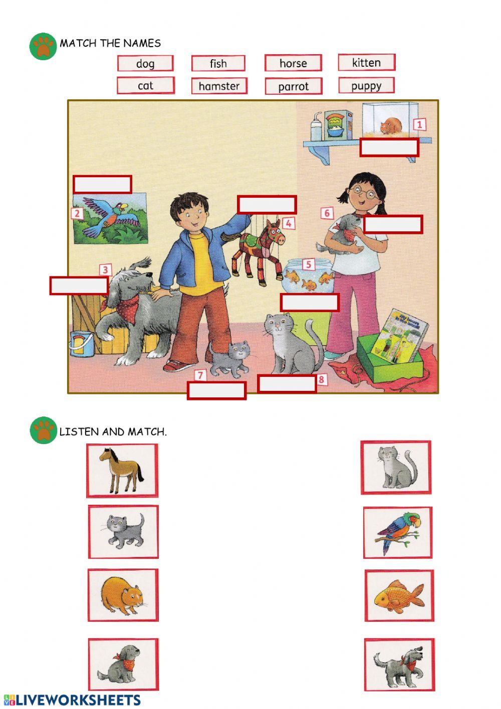 PETS 2º lesson 1