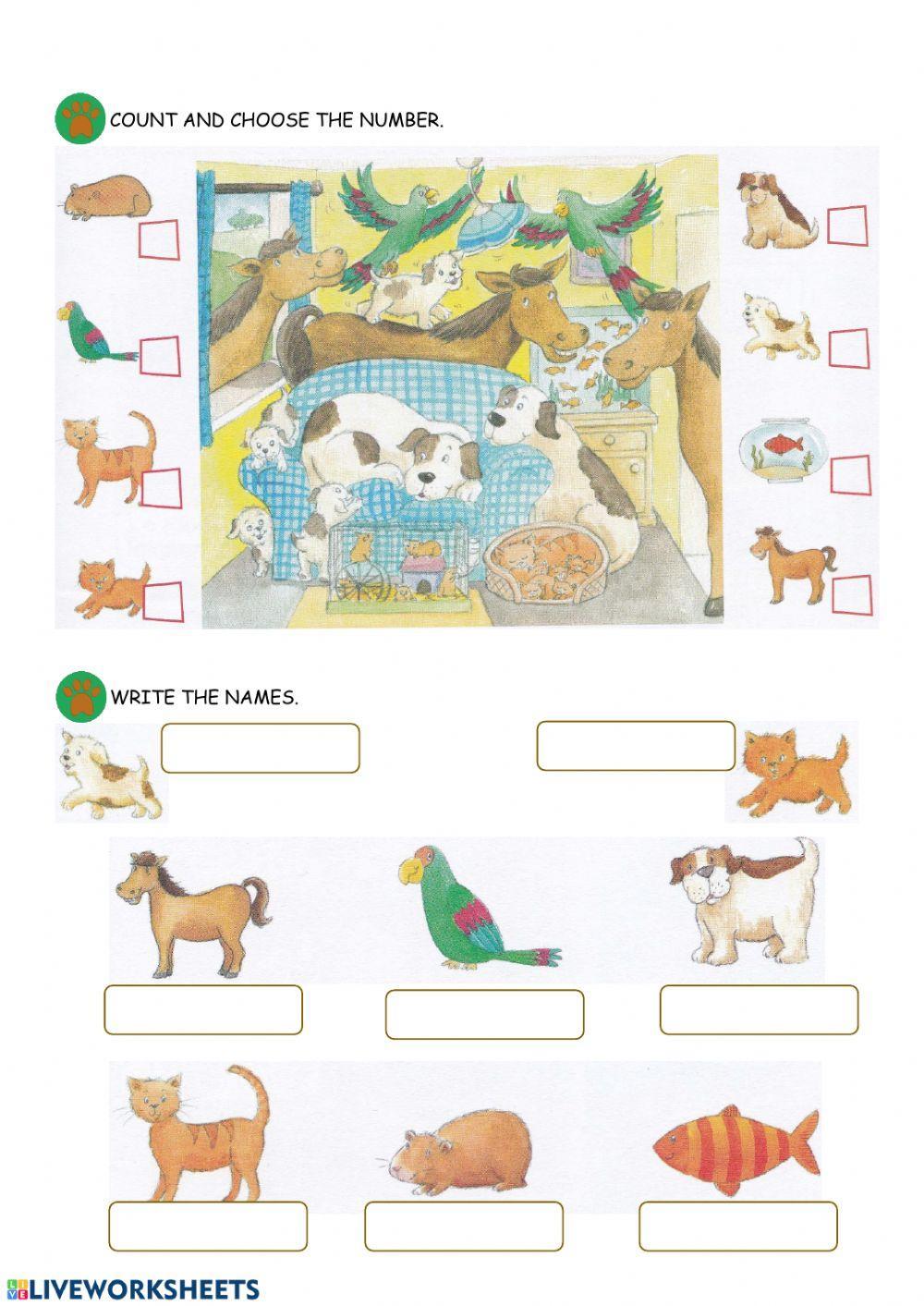 PETS 2º lesson 2