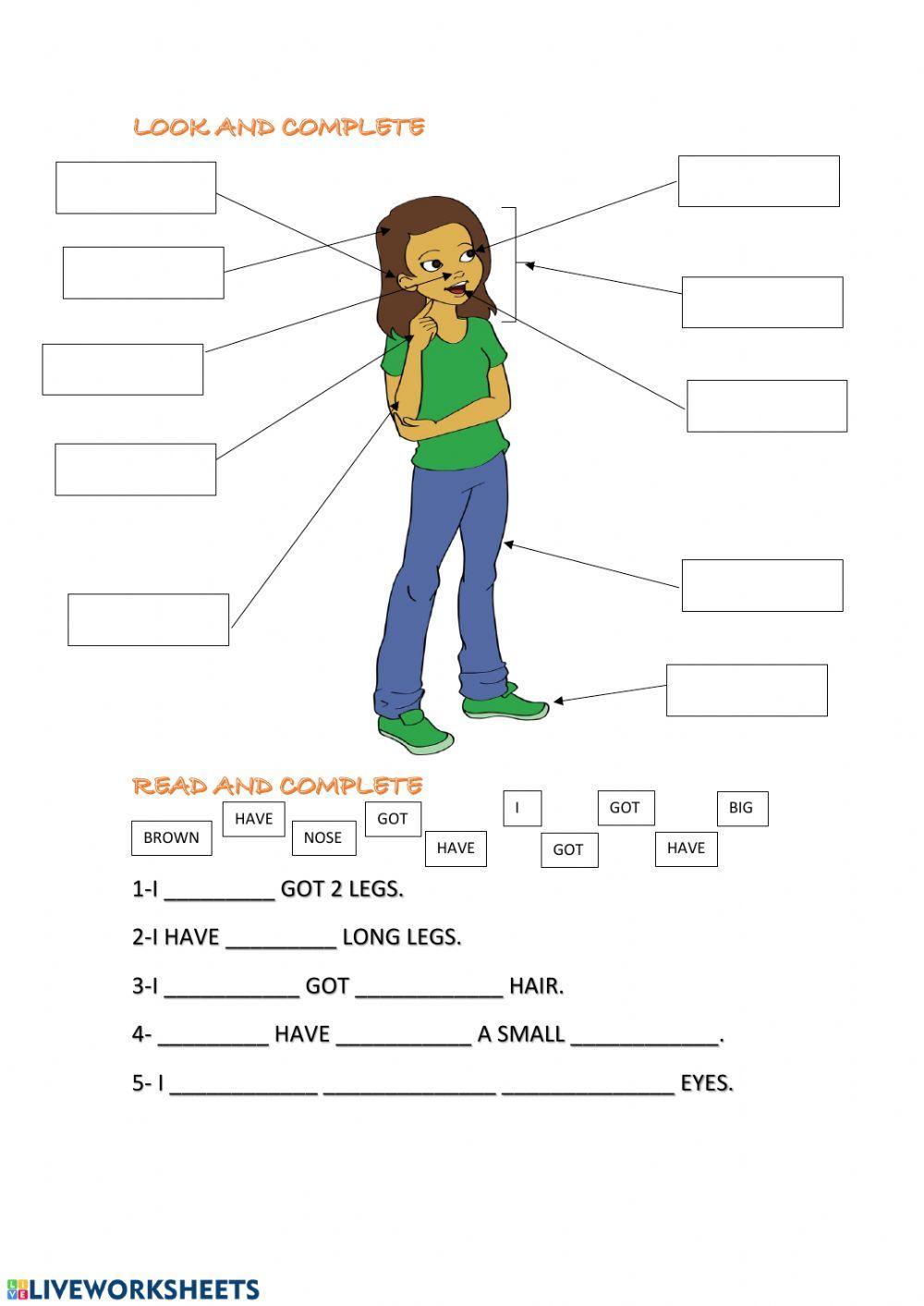 Parts of the body- i have got