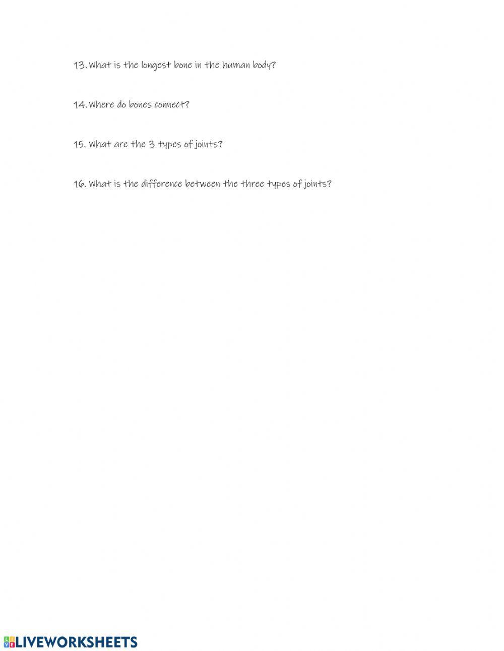 Musculoskeletal System Quiz