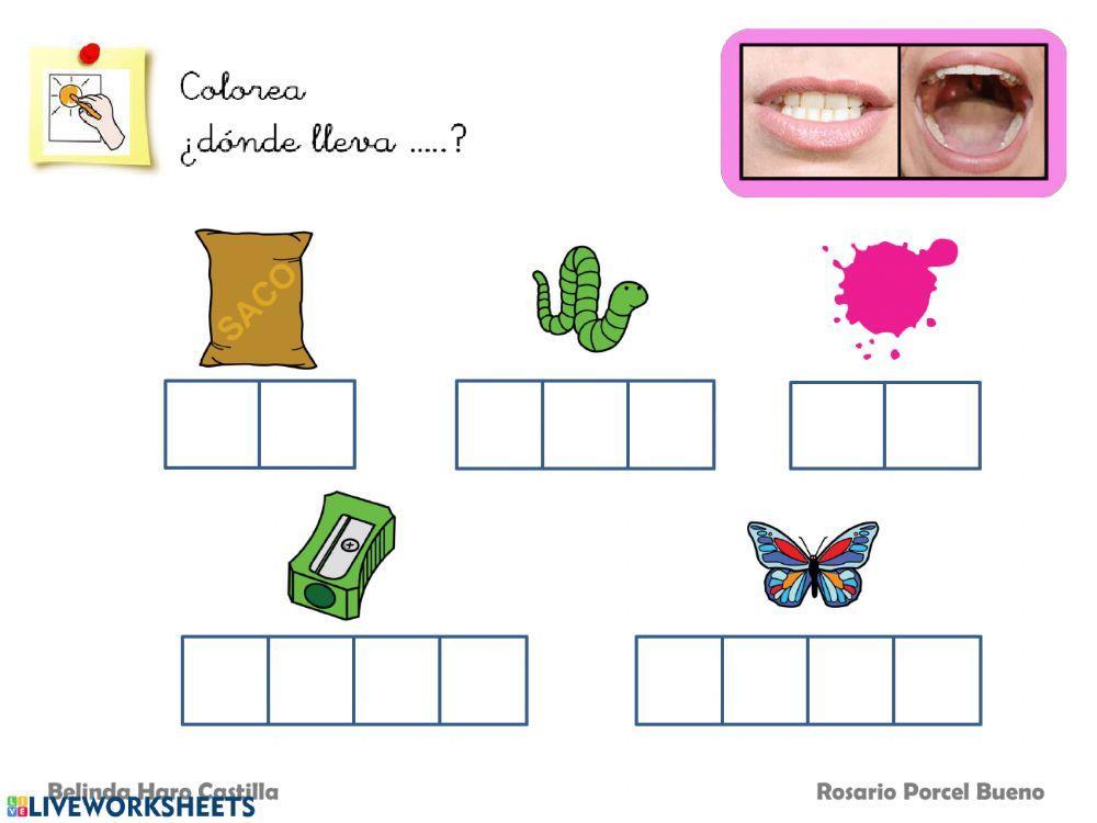 ¿Dónde lleva?...S?