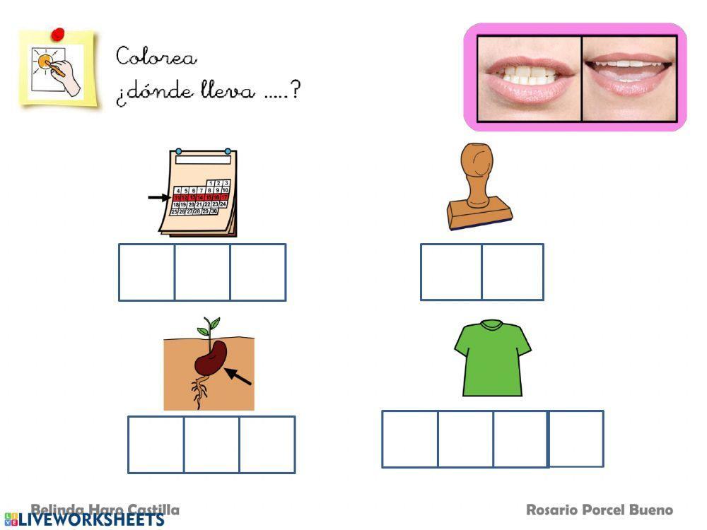 ¿Dónde lleva?...S?