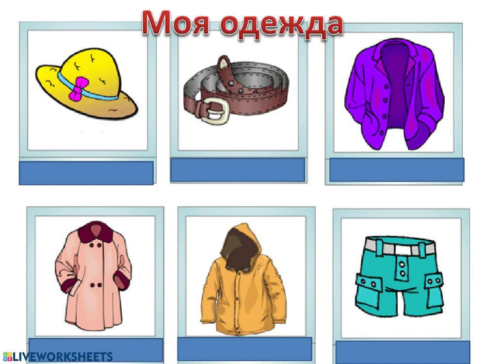 Моя одежда worksheet | Live Worksheets