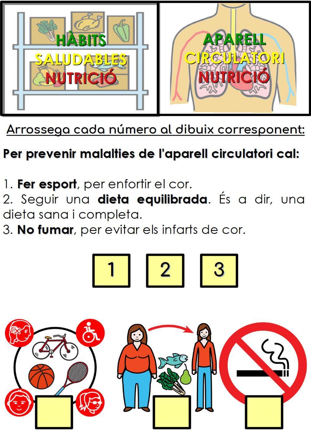 Hàbits saludables de l'aparell circulatori