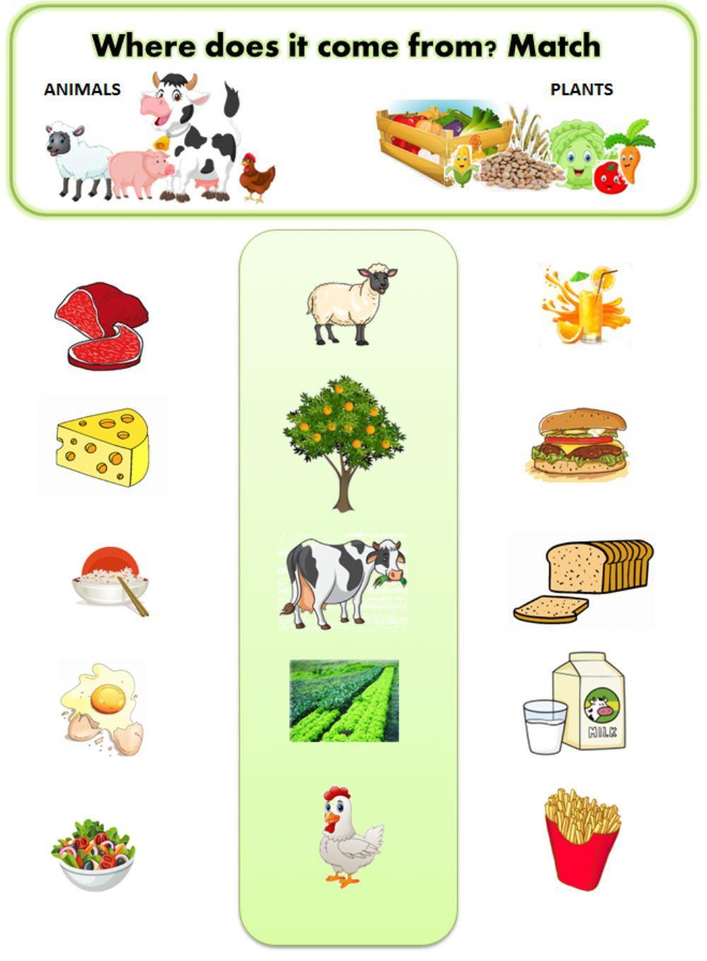 95526-where-the-food-comes-from-mar-a