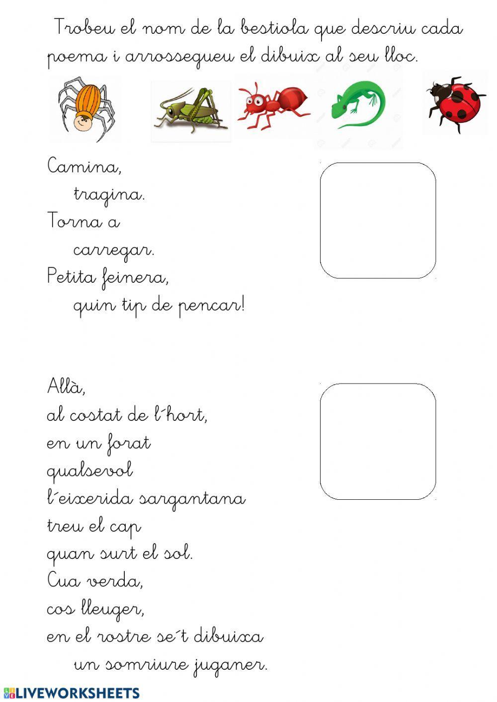 Lola Casas.Poemes de bestioles del pati.