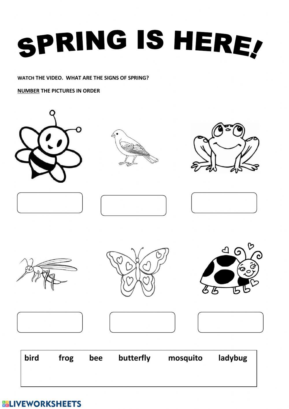 Spring is here teachercrismd live worksheets