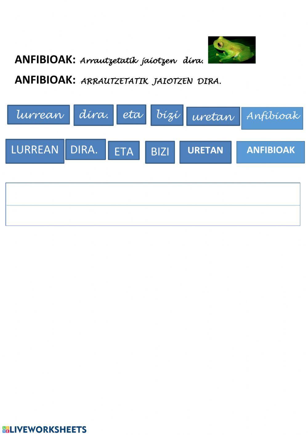 TXANELA: hitzak ordenatu