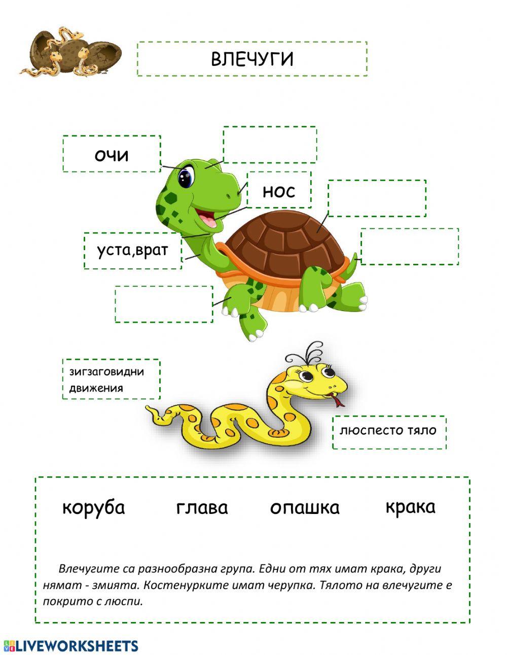 Групиране на животните (по общи белези)