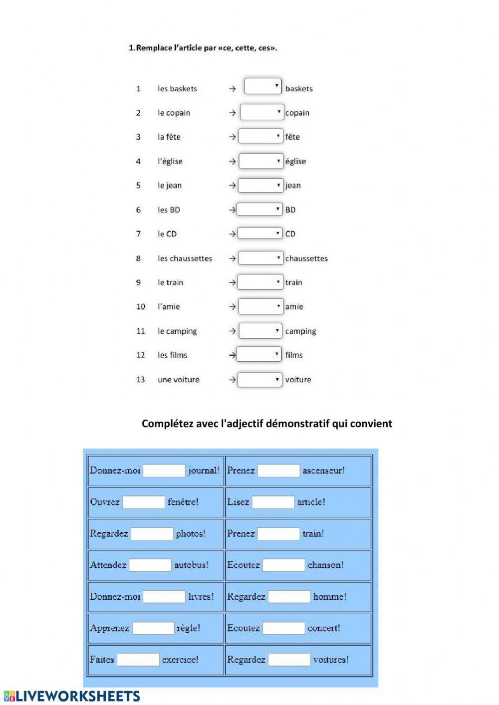 Adjectifs demonstratifs