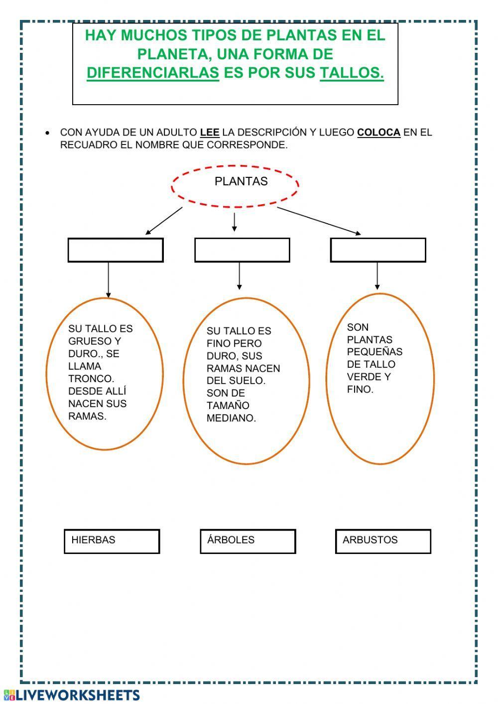 Unidad de los seres vivos.