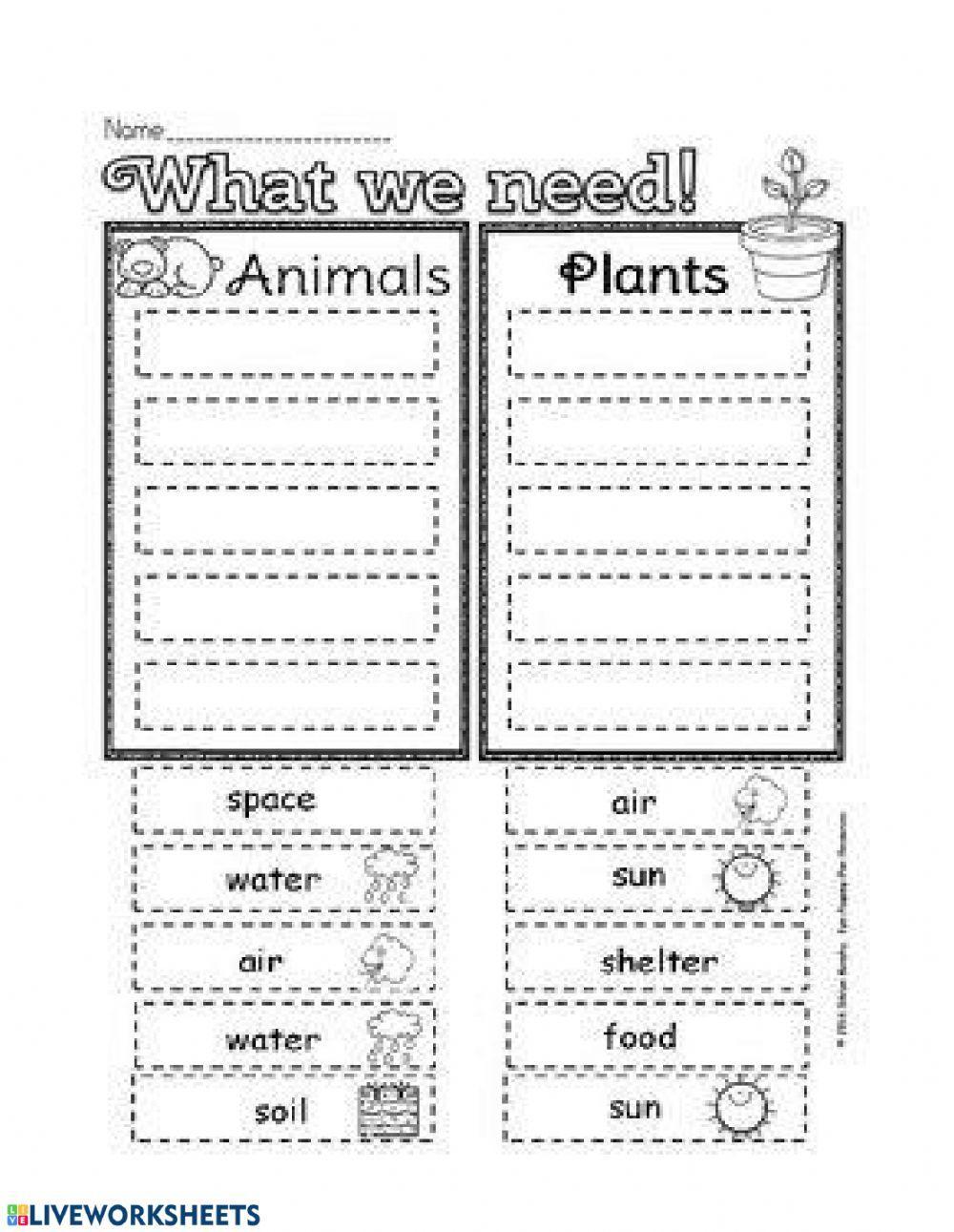 Animal plants and need