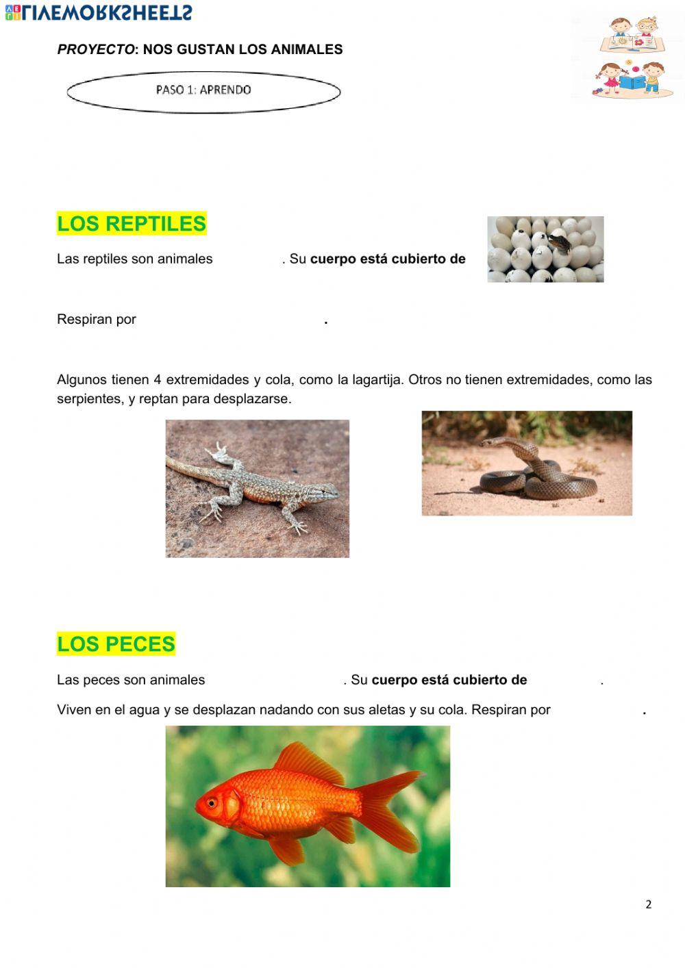 Animales vertebrados