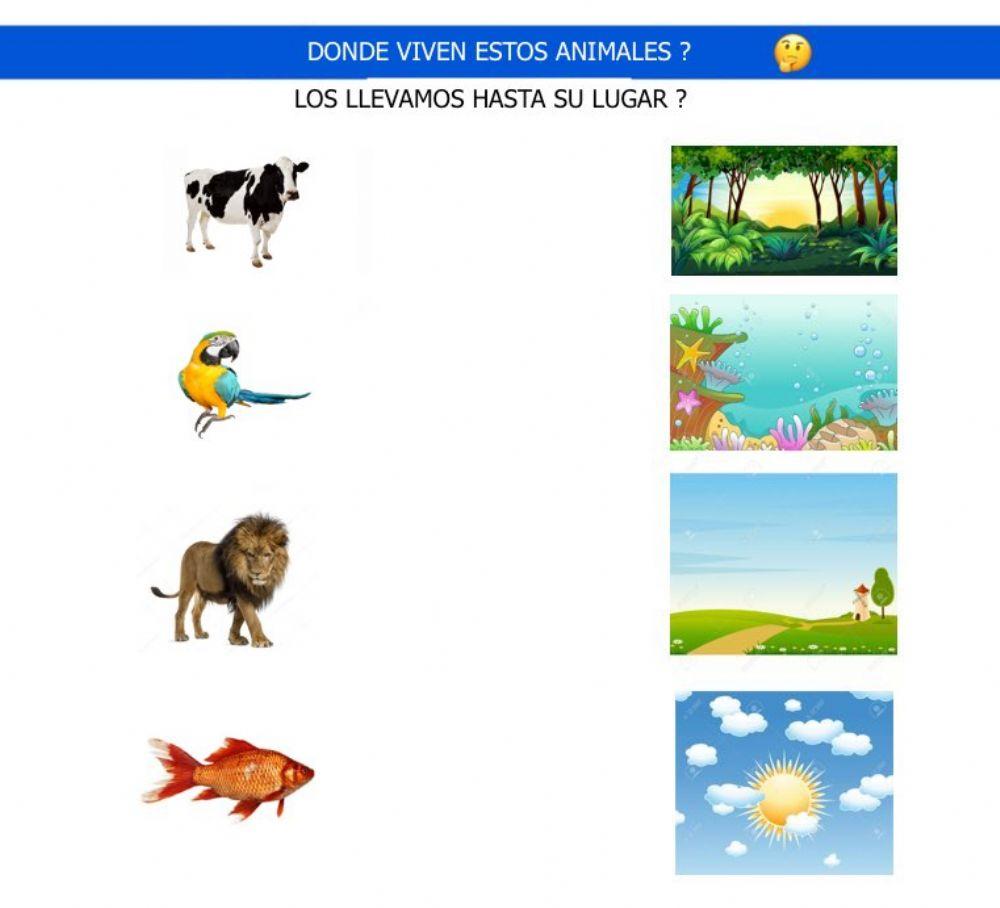 Animales y habitat