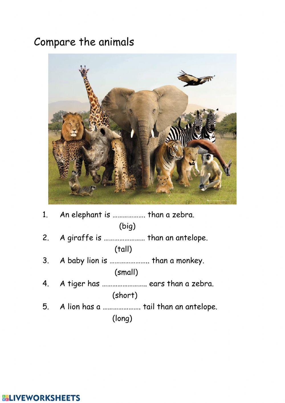 Compare animals