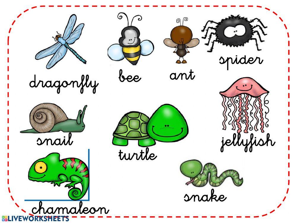 Animals vocabulary listening Animals vocabulary listening
