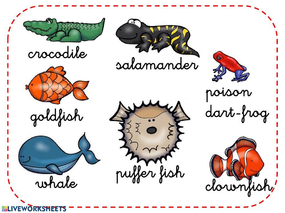 Animals vocabulary listening Animals vocabulary listening