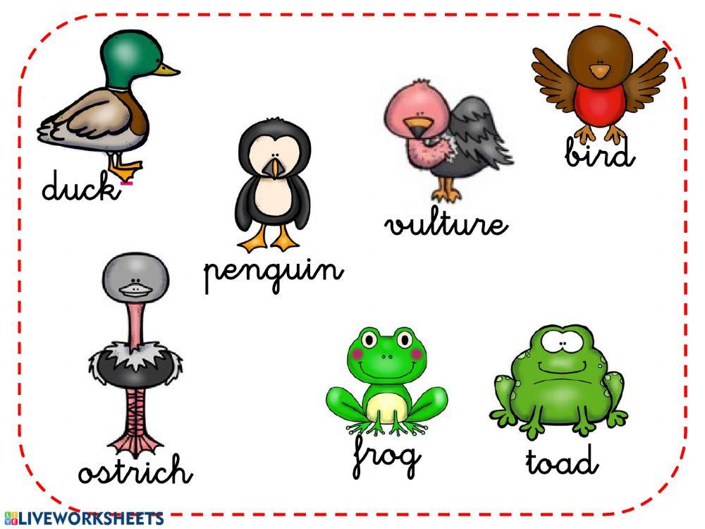 Animals vocabulary listening Animals vocabulary listening