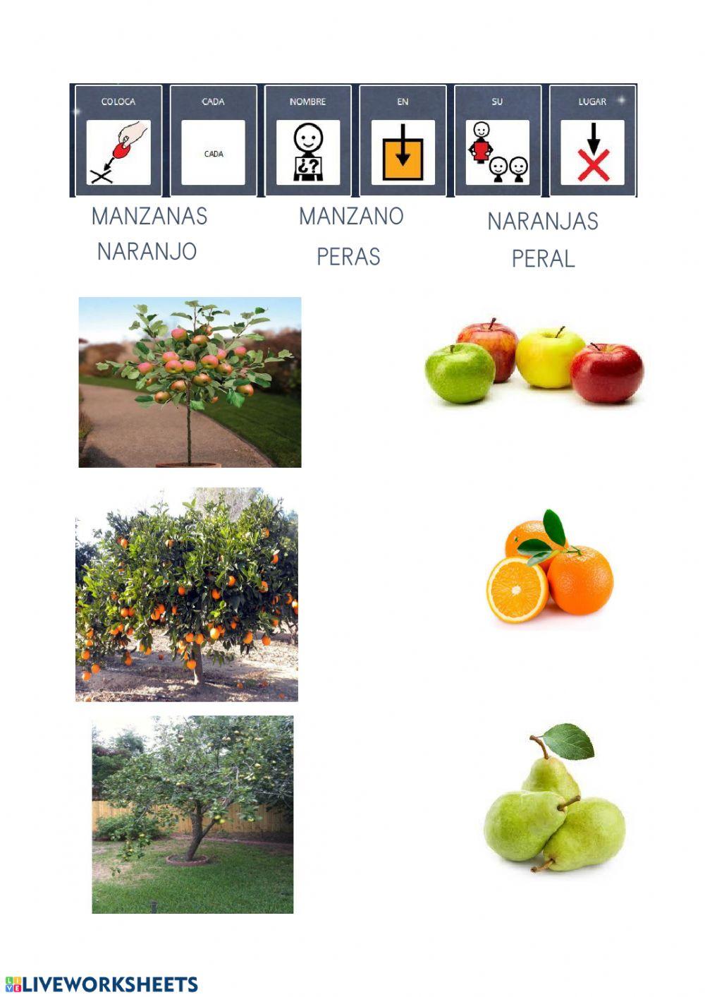 Unir cada palabra con su imagen