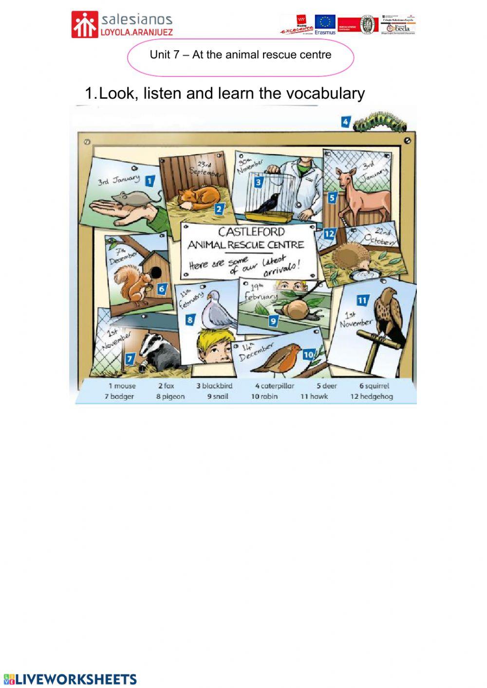 Lesson 1 Unit 7 English 5º