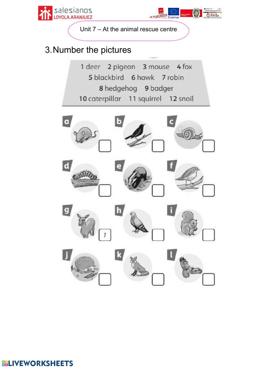 Lesson 1 Unit 7 English 5º