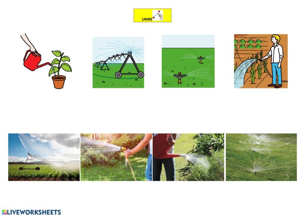 Annaffiare, irrigare