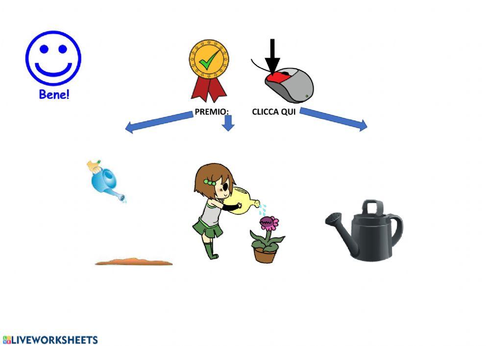 Annaffiare, irrigare