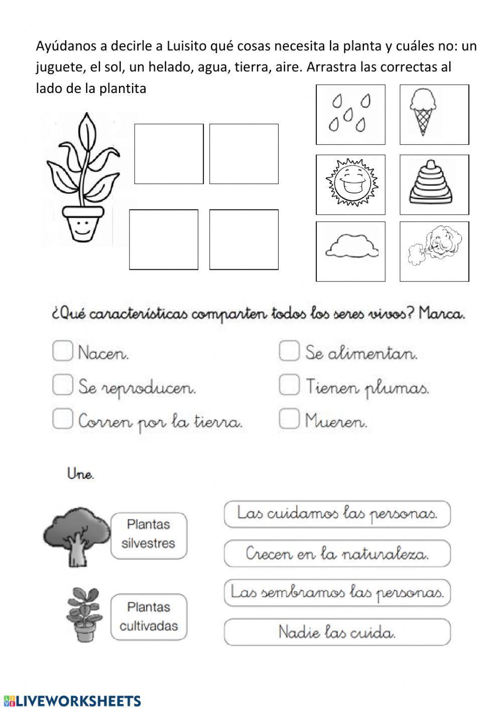 Repaso las plantas