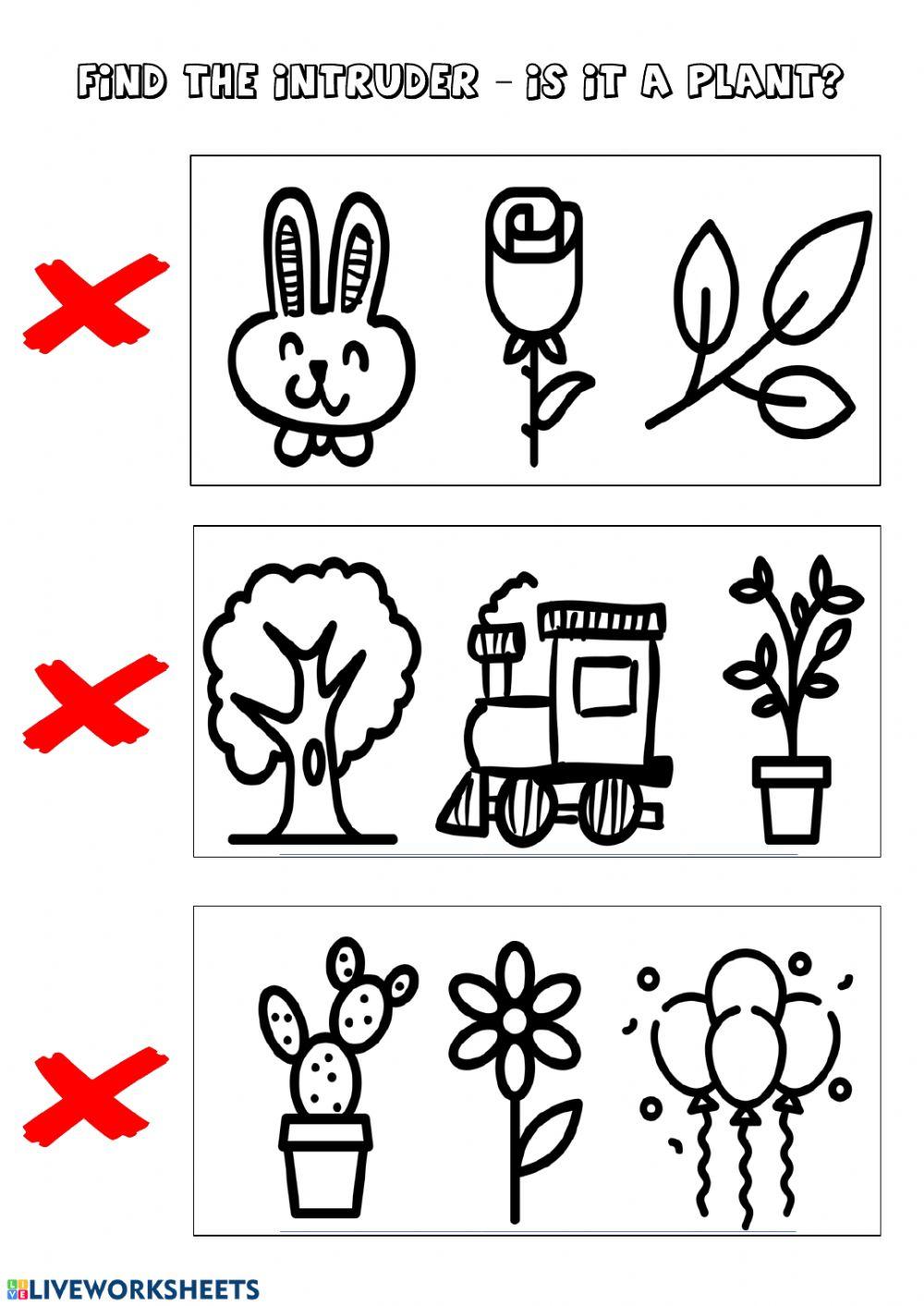 Find the intruder. Plants