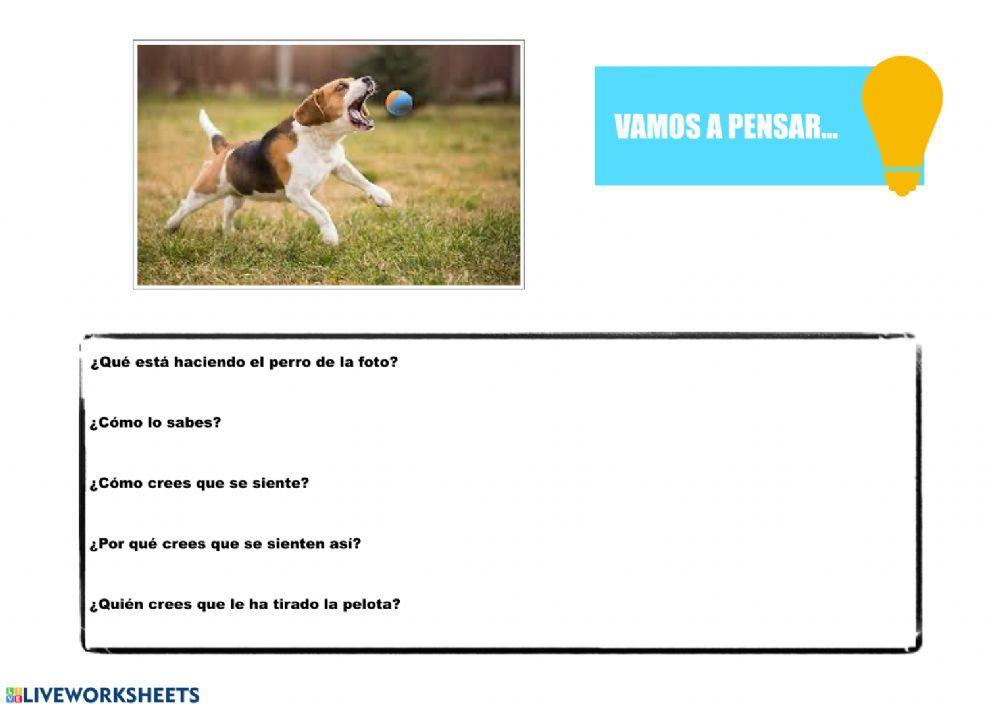 Inferencias sociales