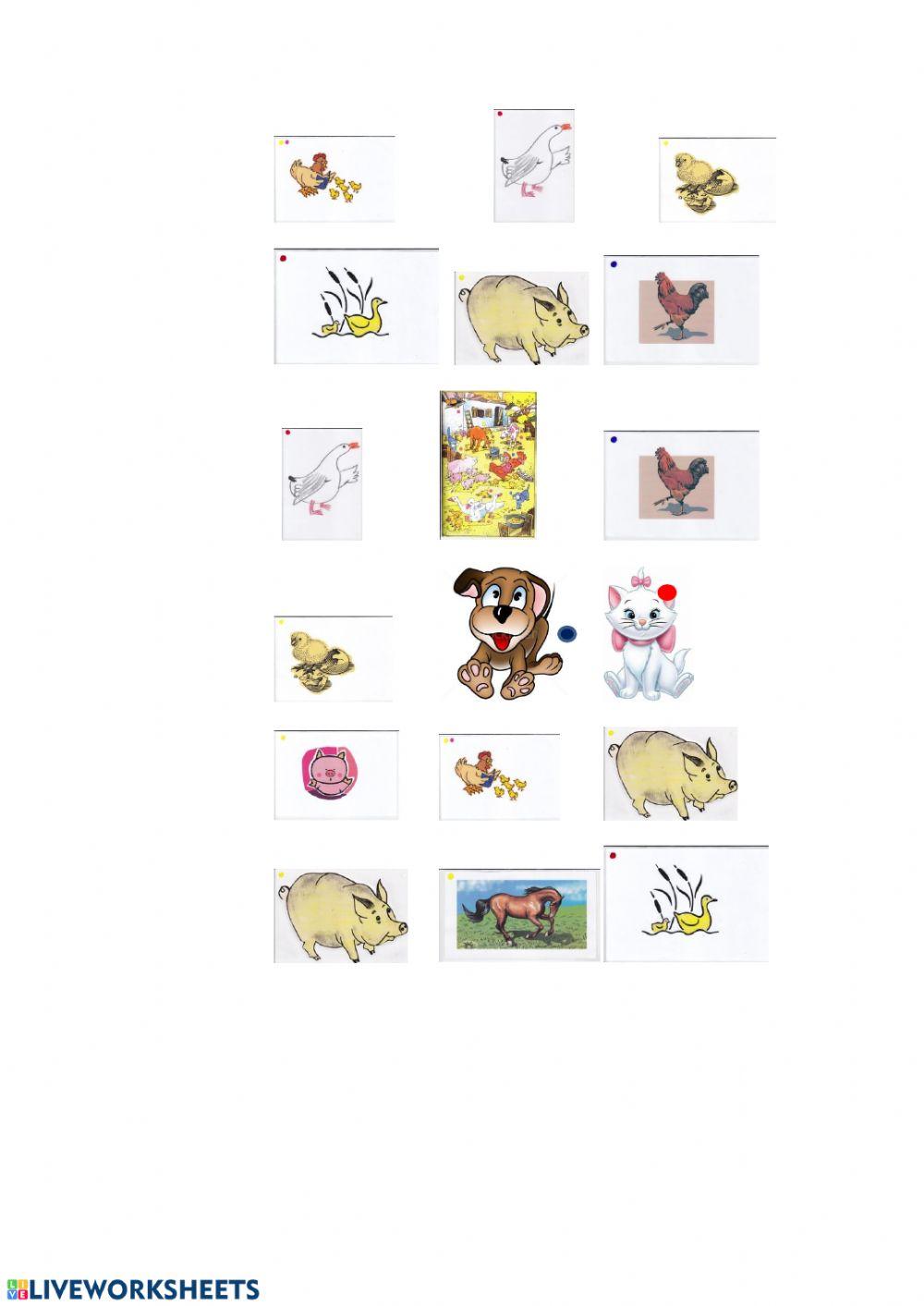 Haustiere online worksheet | Live Worksheets Haustiere online worksheet | Live Worksheets