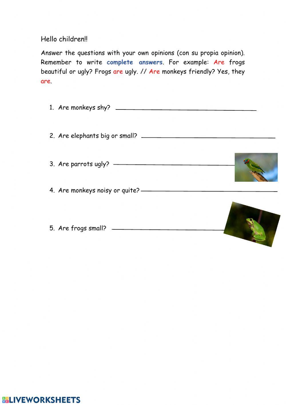 Animals - Yes, they are-No, they aren't