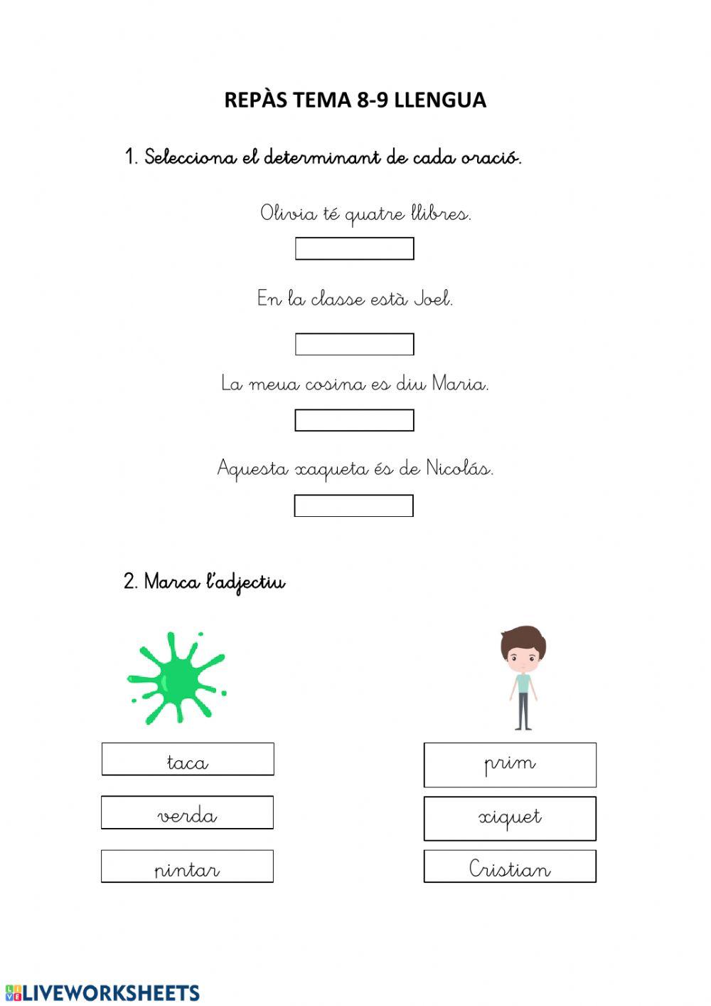 Repàs tema 8 llengua