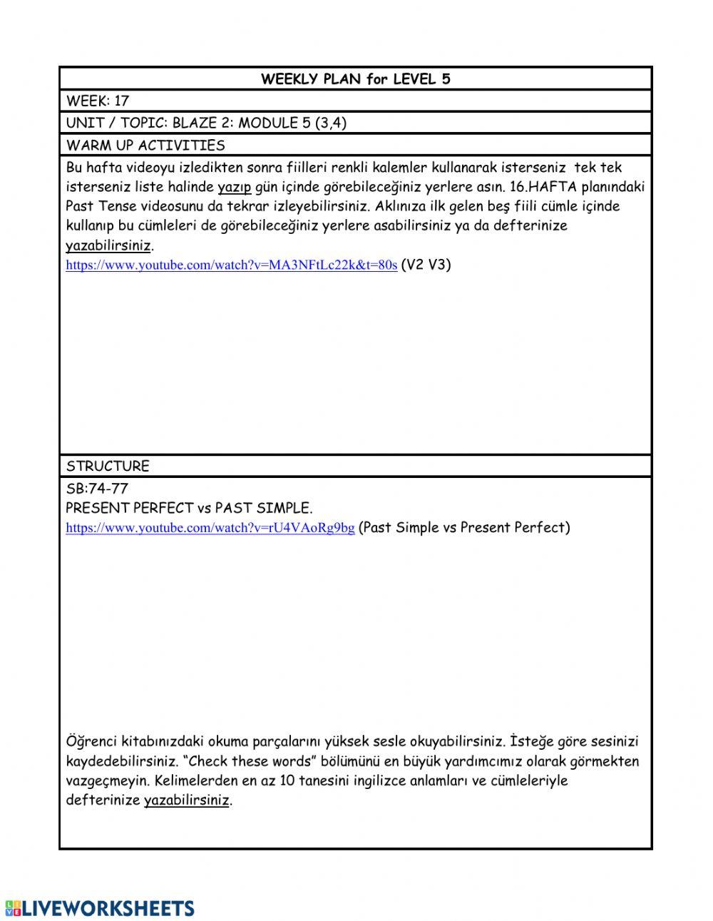 level 5 weekly plan 17