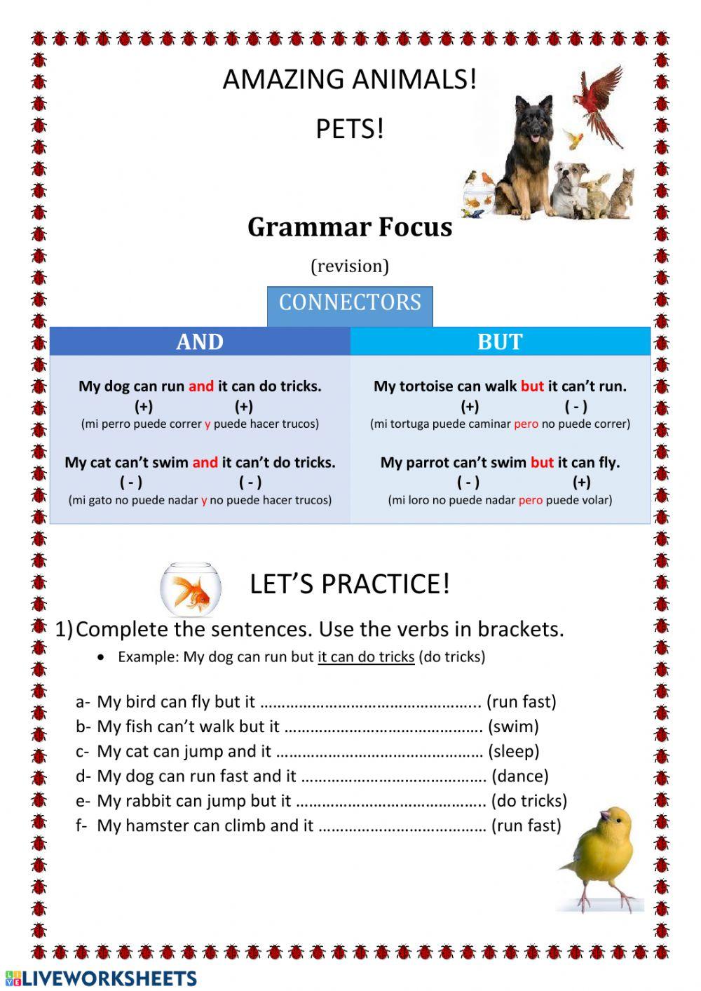 Amazing Animals! Pets! AND & BUT