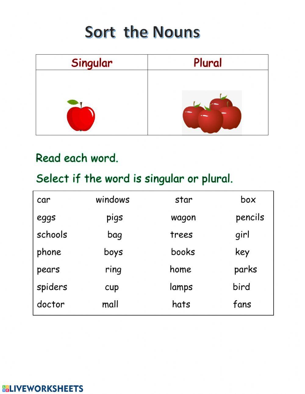 Singular and Plural Noun