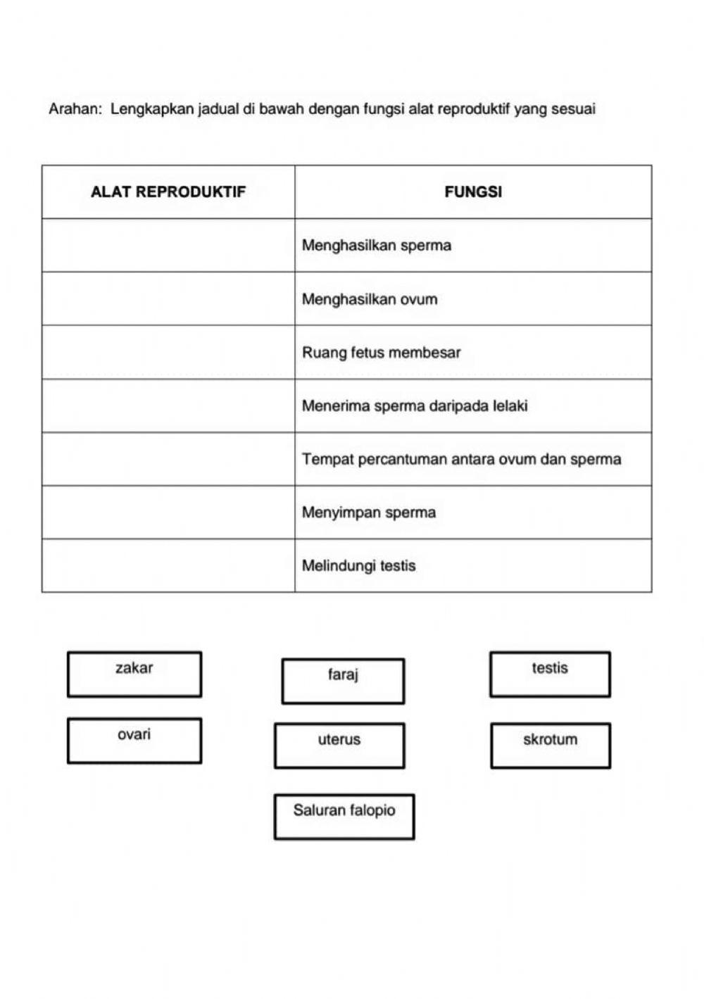 Fungsi alat reproduktif