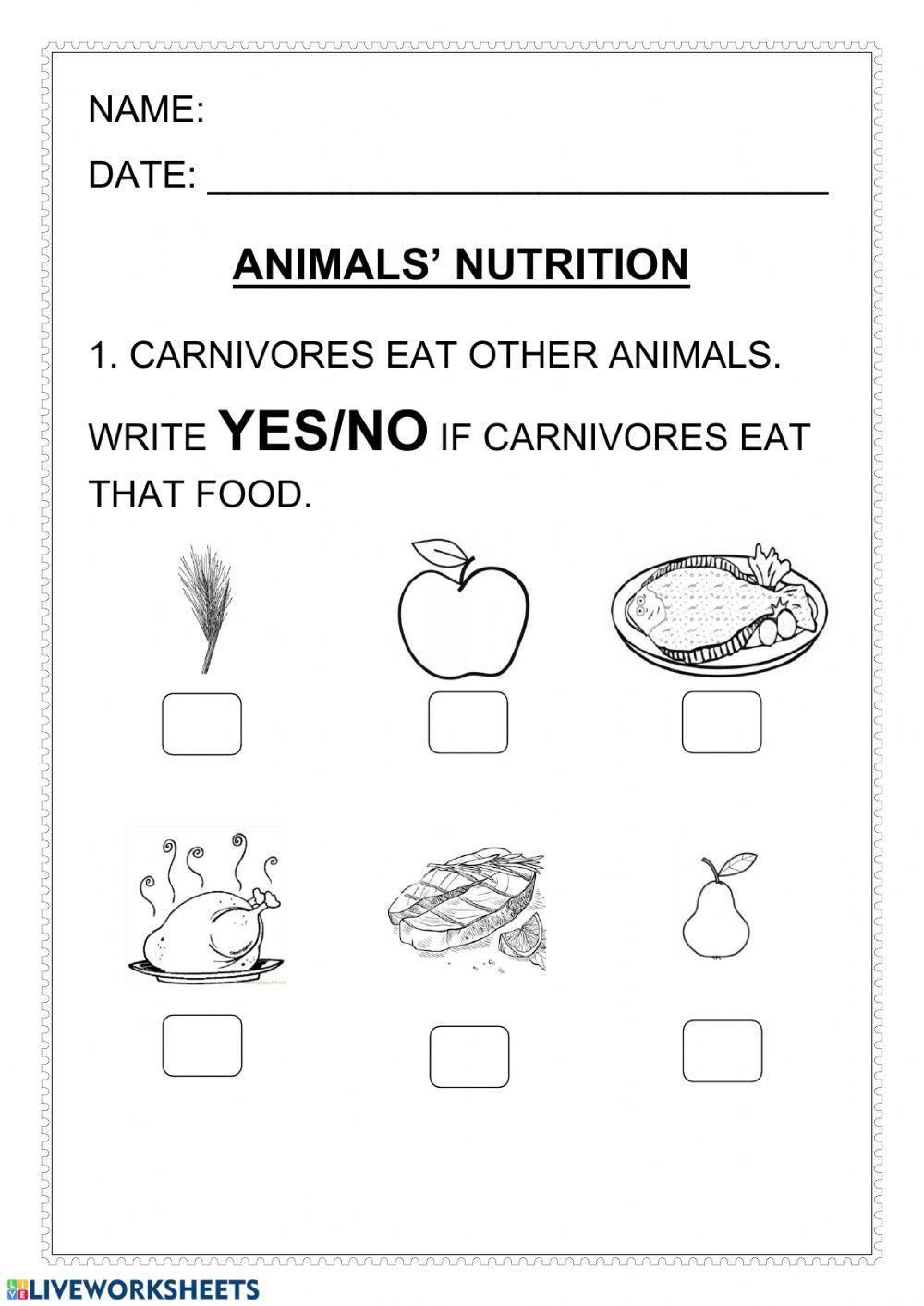 Animals nutrition