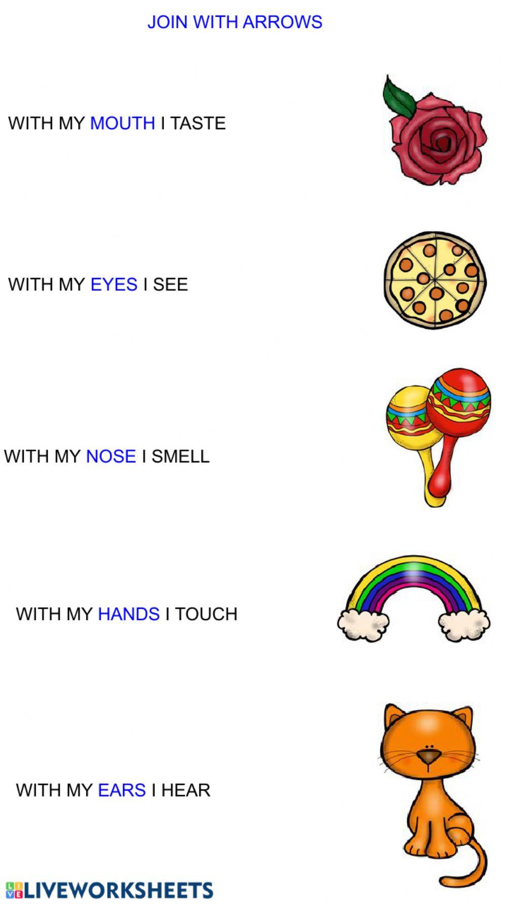 FIVE SENSE: join with arrows