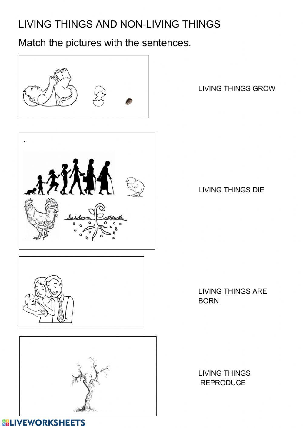 Living  things: characteristics
