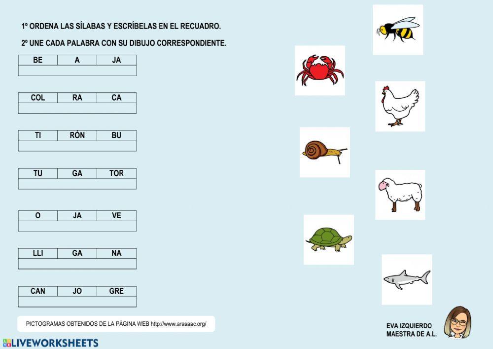 Conciencia silábica y vocabulario