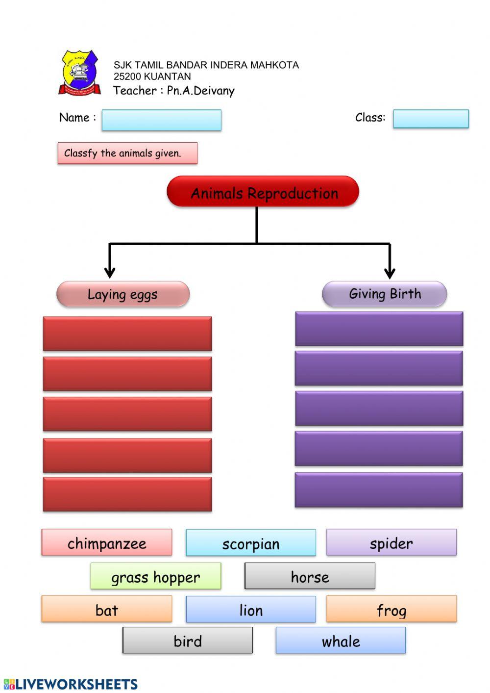 Animals Reproduction Year 2