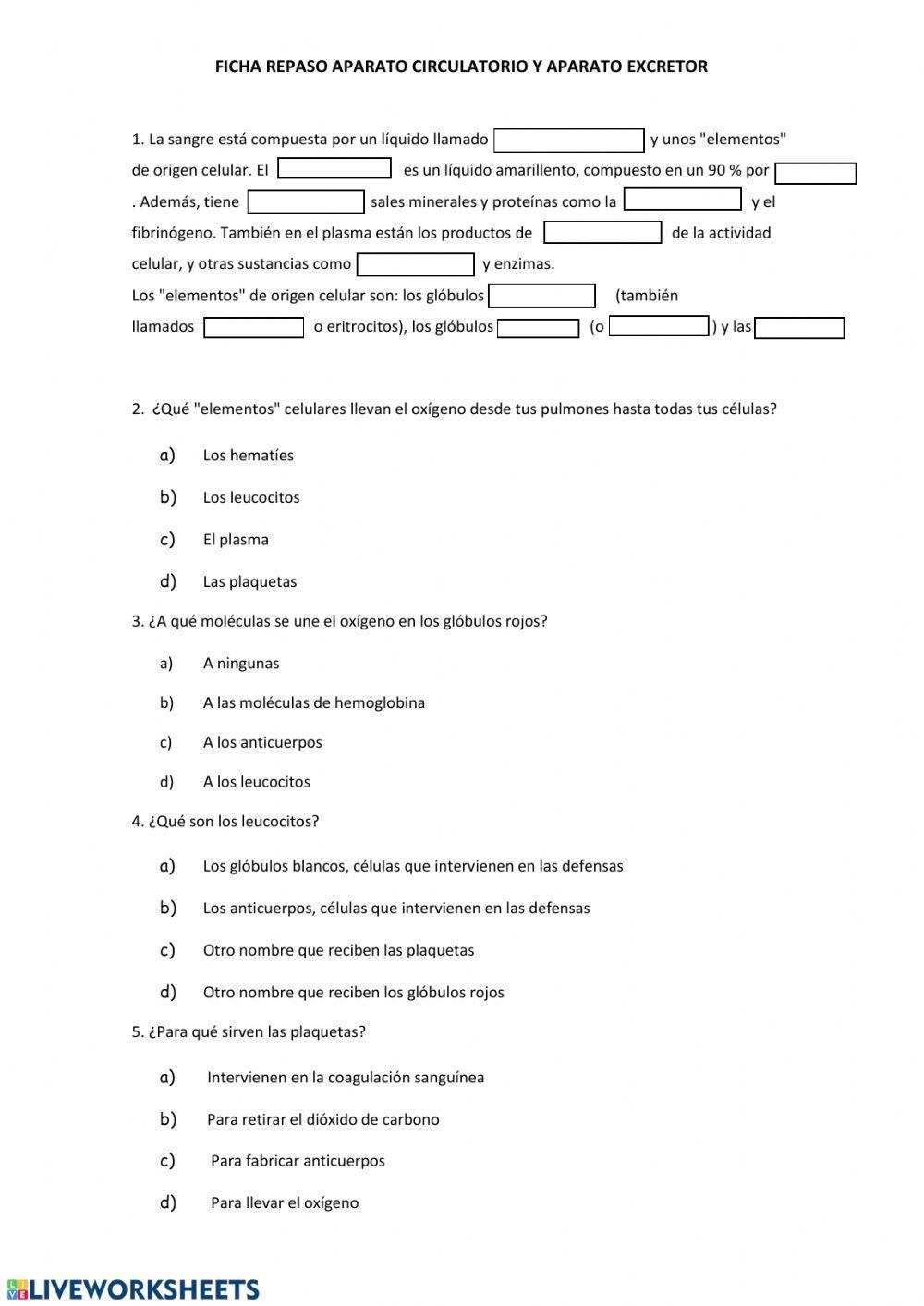 Repaso aparato circulatorio y excretor