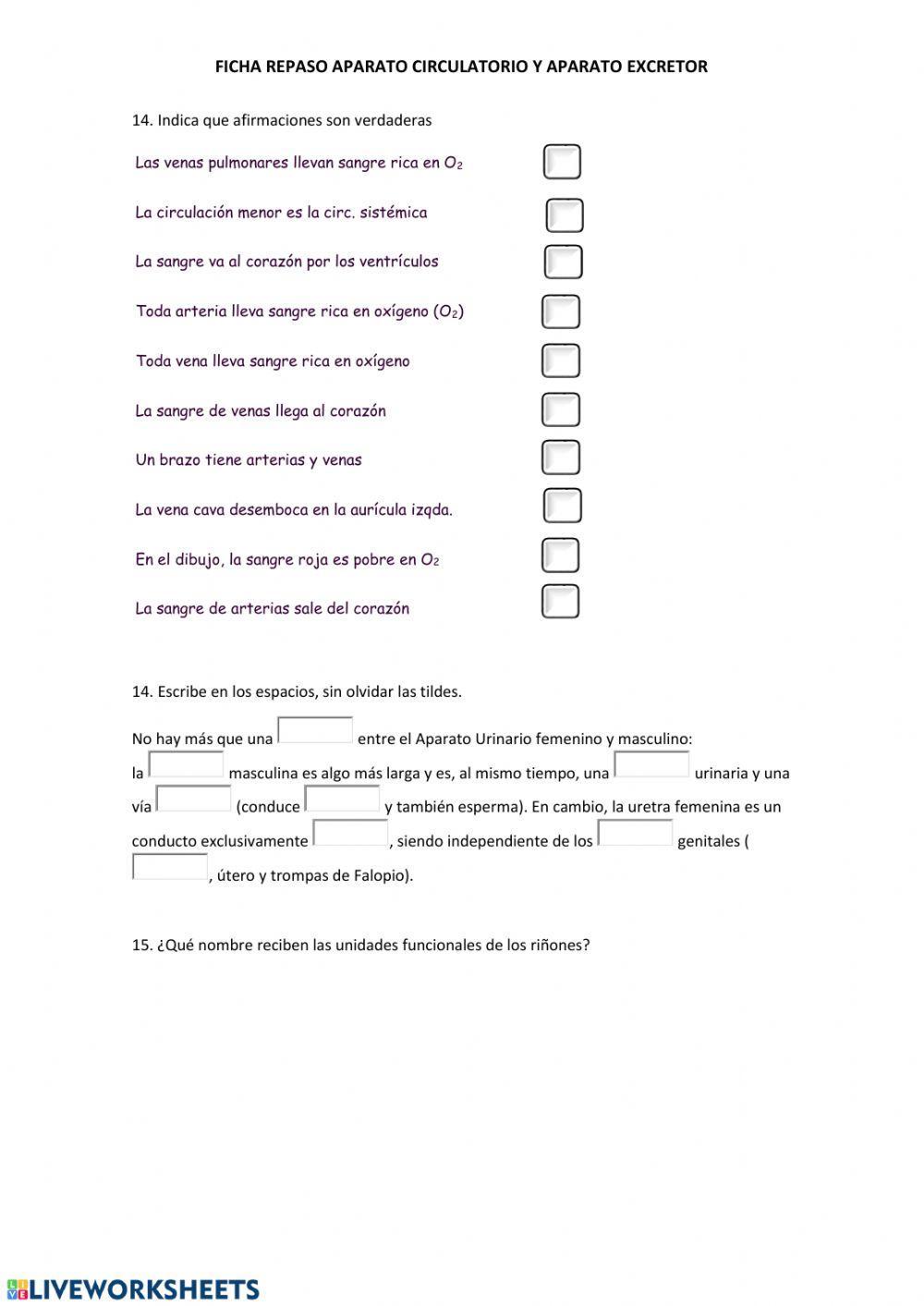 Repaso aparato circulatorio y excretor