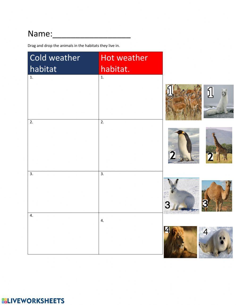 Hot and cold habitat