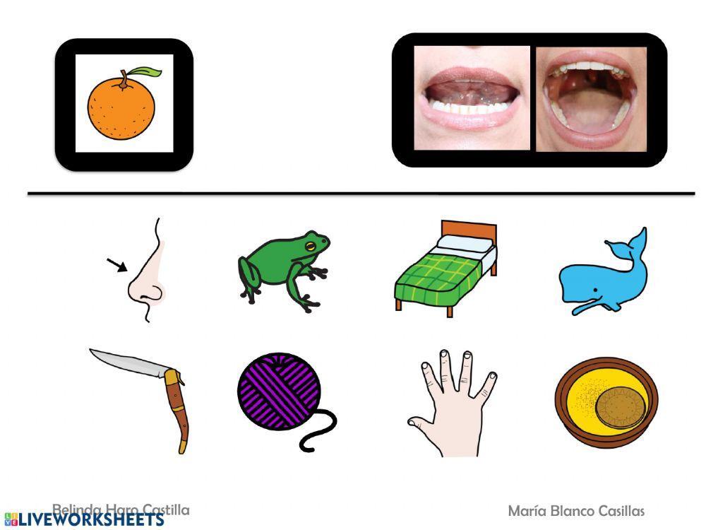 Silabas iniciales con N