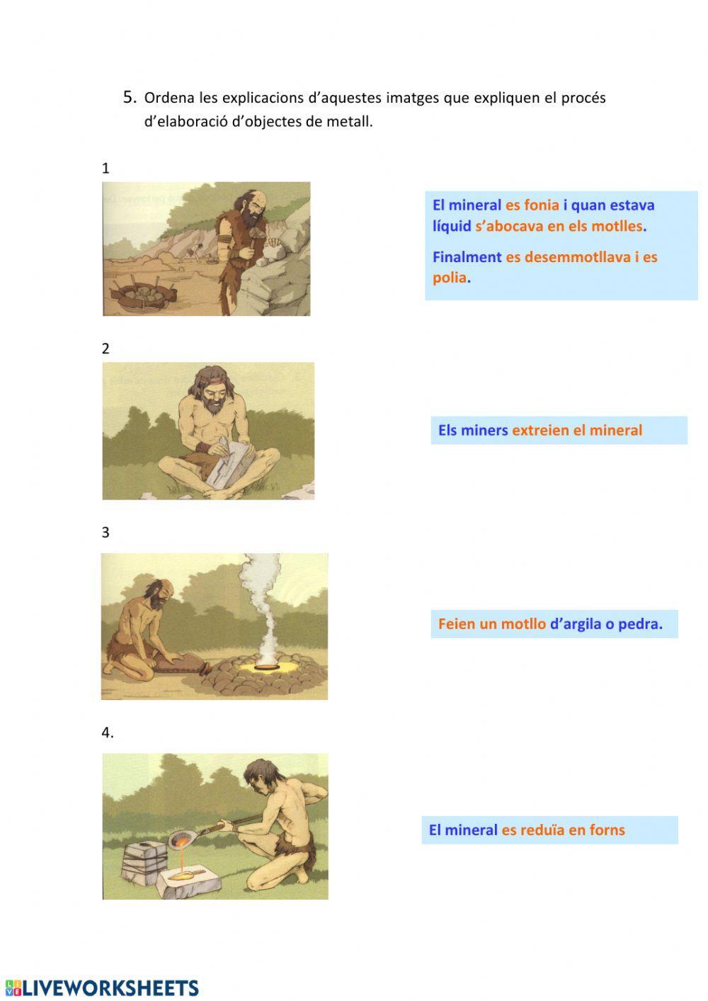 La prehistòria-Tema8-Medi5è