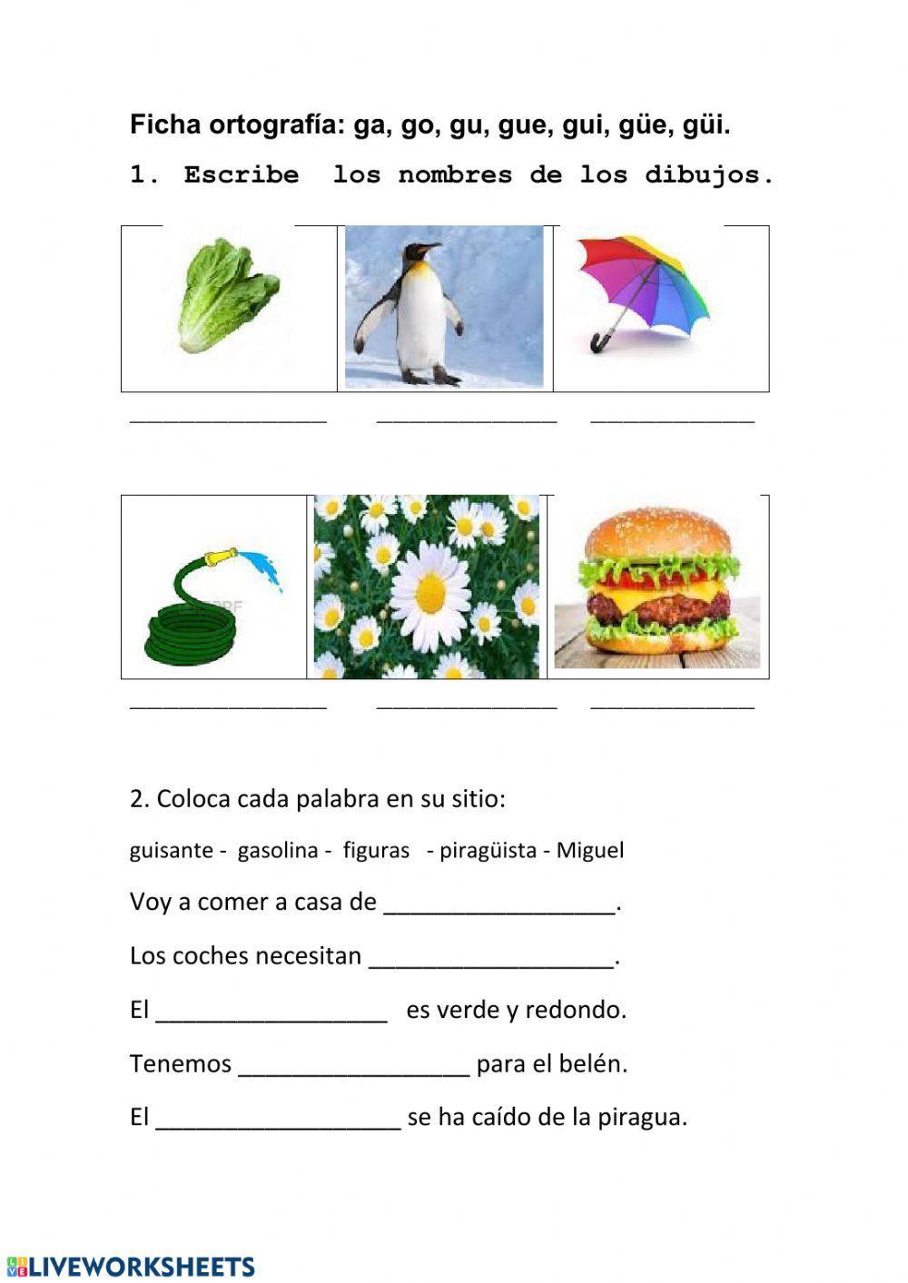 Ortografía Ortografía