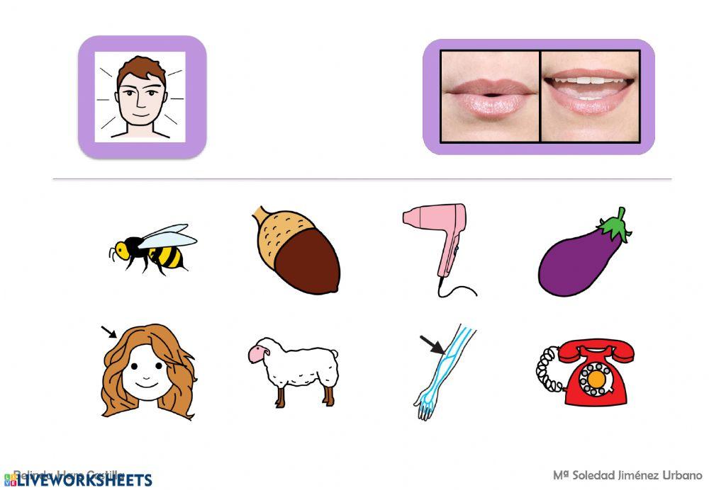 Silabas iniciales con B